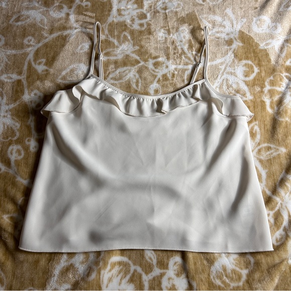 WILFRED | Aritzia Sunray Camisole | Small - Picture 12 of 12